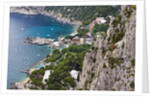 Marina Piccola and coast from Giardini di Augusto, Capri, Capri Island, Campania, Italy by Anonymous