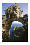 Arco Naturale, Capri, Capri Island, Campania, Italy by Anonymous
