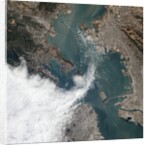 Satellite View of a Foggy Day in San Francisco by Anonymous