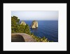 View of Faraglioni from Belvedere di Tragara, Capri, Italy by Anonymous