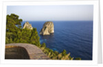 View of Faraglioni from Belvedere di Tragara, Capri, Italy by Anonymous