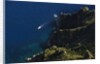 View of coast from Monte Solaro, Anacapri, Capri Island, Campania, Italy by Anonymous