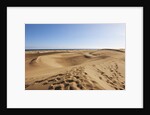 Sand dunes, Maspalomas, Gran Canaria, Spain by Anonymous