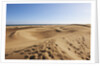 Sand dunes, Maspalomas, Gran Canaria, Spain by Anonymous
