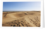 Sand dunes, Maspalomas, Gran Canaria, Spain by Anonymous