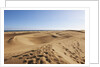 Sand dunes, Maspalomas, Gran Canaria, Spain by Anonymous