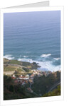 Lookout over Garachico coastline, Tenerife, Canary Islands, Spain by Anonymous