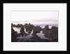 Sea at dusk, Puerto de Santiago, Tenerife, Canary Islands, Spain by Anonymous