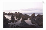 Sea at dusk, Puerto de Santiago, Tenerife, Canary Islands, Spain by Anonymous