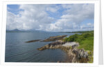 Coastline near Kenmare, Ring of Kerry, Kerry County, Ireland by Anonymous