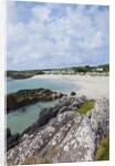 Beach near Westcove, Ring of Kerry, Kerry County, Ireland by Anonymous