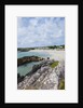 Beach near Westcove, Ring of Kerry, Kerry County, Ireland by Anonymous