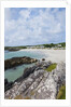 Beach near Westcove, Ring of Kerry, Kerry County, Ireland by Anonymous