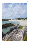 Beach near Westcove, Ring of Kerry, Kerry County, Ireland by Anonymous