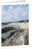 Beach near Westcove, Ring of Kerry, Kerry County, Ireland by Anonymous