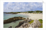 Beach near Westcove, Ring of Kerry, Kerry County, Ireland by Anonymous