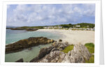 Beach near Westcove, Ring of Kerry, Kerry County, Ireland by Anonymous