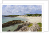 Beach near Westcove, Ring of Kerry, Kerry County, Ireland by Anonymous