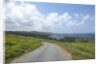 Kilcatherine Point road, Ring of Kerry, Kerry County, Ireland by Anonymous