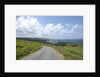 Kilcatherine Point road, Ring of Kerry, Kerry County, Ireland by Anonymous