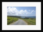 Kilcatherine Point road, Ring of Kerry, Kerry County, Ireland by Anonymous