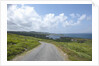 Kilcatherine Point road, Ring of Kerry, Kerry County, Ireland by Anonymous