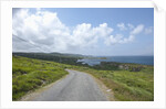 Kilcatherine Point road, Ring of Kerry, Kerry County, Ireland by Anonymous