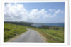 Kilcatherine Point road, Ring of Kerry, Kerry County, Ireland by Anonymous