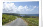 Kilcatherine Point road, Ring of Kerry, Kerry County, Ireland by Anonymous