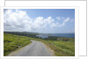 Kilcatherine Point road, Ring of Kerry, Kerry County, Ireland by Anonymous