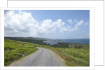 Kilcatherine Point road, Ring of Kerry, Kerry County, Ireland by Anonymous