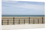 Beach of Howth, Wicklow County, Ireland by Anonymous