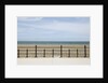 Beach of Howth, Wicklow County, Ireland by Anonymous