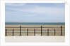 Beach of Howth, Wicklow County, Ireland by Anonymous