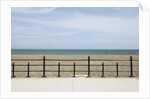 Beach of Howth, Wicklow County, Ireland by Anonymous