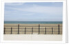 Beach of Howth, Wicklow County, Ireland by Anonymous