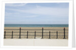 Beach of Howth, Wicklow County, Ireland by Anonymous