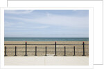 Beach of Howth, Wicklow County, Ireland by Anonymous