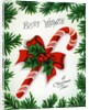 Vintage Illustration of Christmas Candy Cane by Anonymous