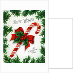 Vintage Illustration of Christmas Candy Cane by Anonymous