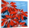 Vintage Illustration of Christmas Poinsettias by Anonymous