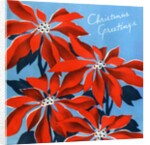 Vintage Illustration of Christmas Poinsettias by Anonymous