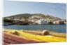 View of Agia Marina, Leros, Dodecanese, Greece by Anonymous