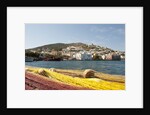 View of Agia Marina, Leros, Dodecanese, Greece by Anonymous