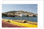 View of Agia Marina, Leros, Dodecanese, Greece by Anonymous