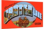 Greetings from Crater Lake, Oregon by Anonymous
