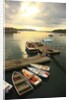 Moored boats, Acadia National Park, Maine, USA by Anonymous