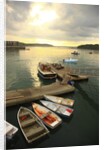 Moored boats, Acadia National Park, Maine, USA by Anonymous