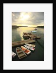 Moored boats, Acadia National Park, Maine, USA by Anonymous