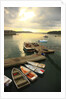 Moored boats, Acadia National Park, Maine, USA by Anonymous